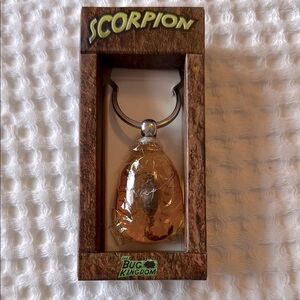 Unique Amber Scorpion keychain 🦂
